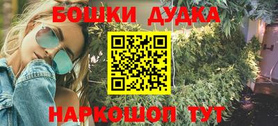 мдпв Обь